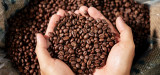 5 Reasons To Love Door County Coffee